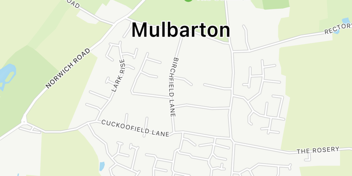 Phone Repair Mulbarton